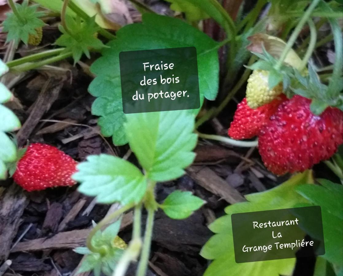 Bed and Breakfast La Grange Templiere 2018 Peyreleau Екстер'єр фото